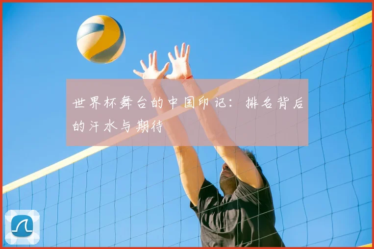 世界杯舞台的中国印记:排名背后的汗水与期待