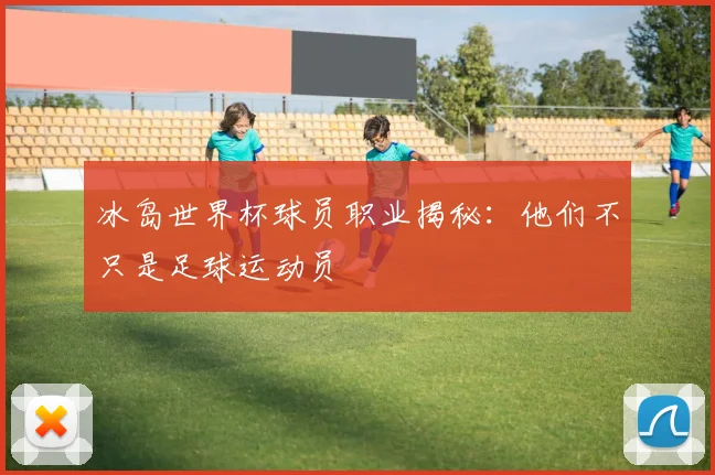 冰岛世界杯球员职业揭秘:他们不只是足球运动员