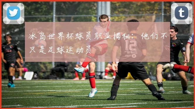 冰岛世界杯球员职业揭秘：他们不只是足球运动员