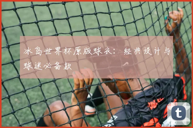 冰岛世界杯原版球衣：经典设计与球迷必备款